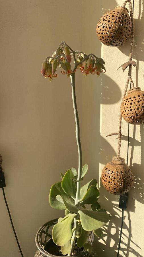 Holiday home Salento Casa Il Focolare *