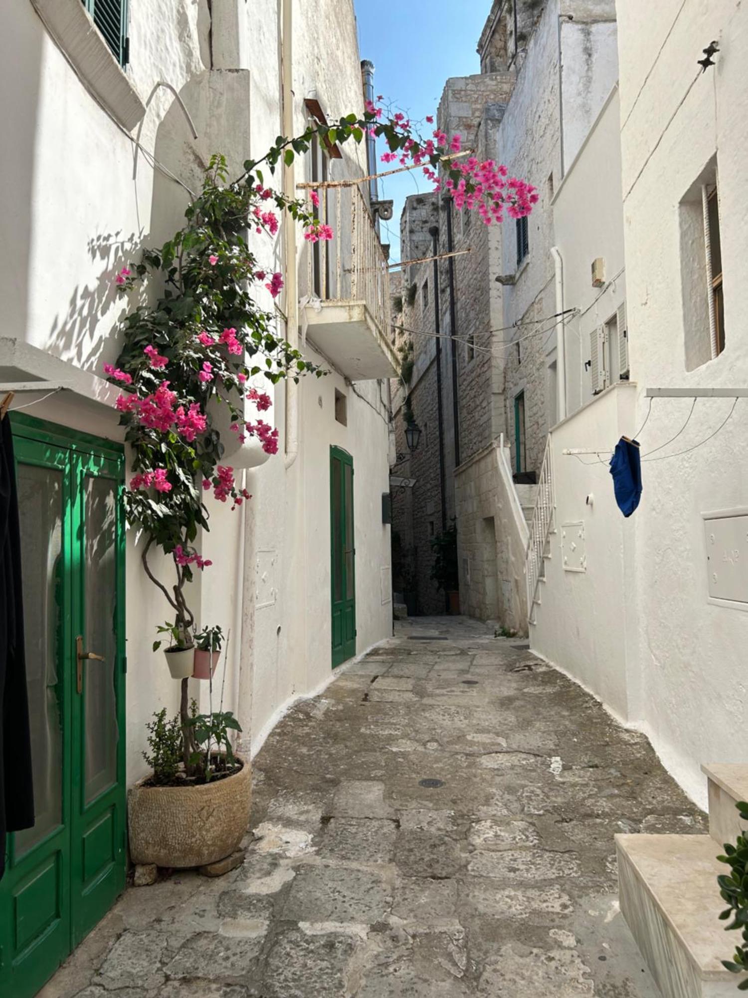 Salento Casa Il Focolare * Torchiarolo